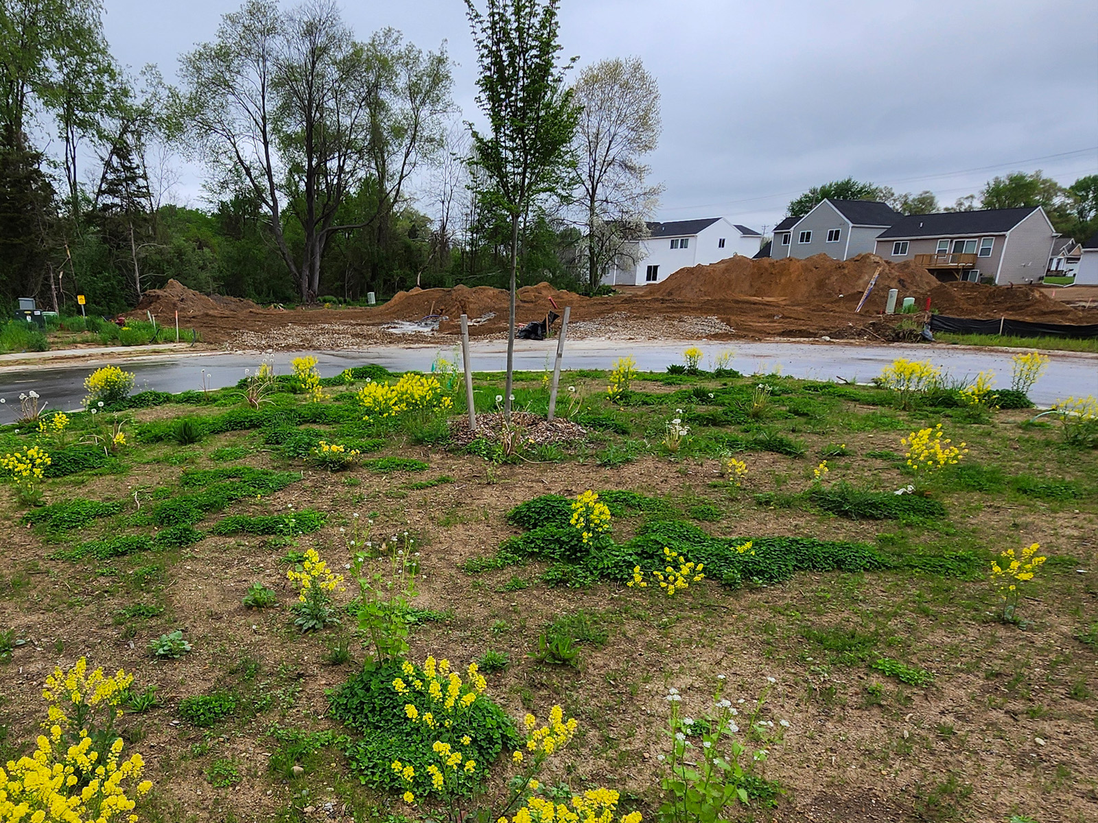 800x600 foundationlaid